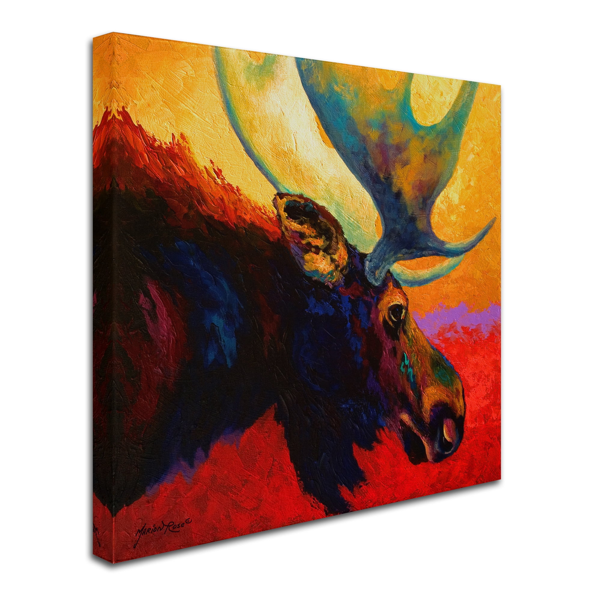 Trademark Fine Art 'Alaska Spirit Moose' Canvas Art by Marion Rose