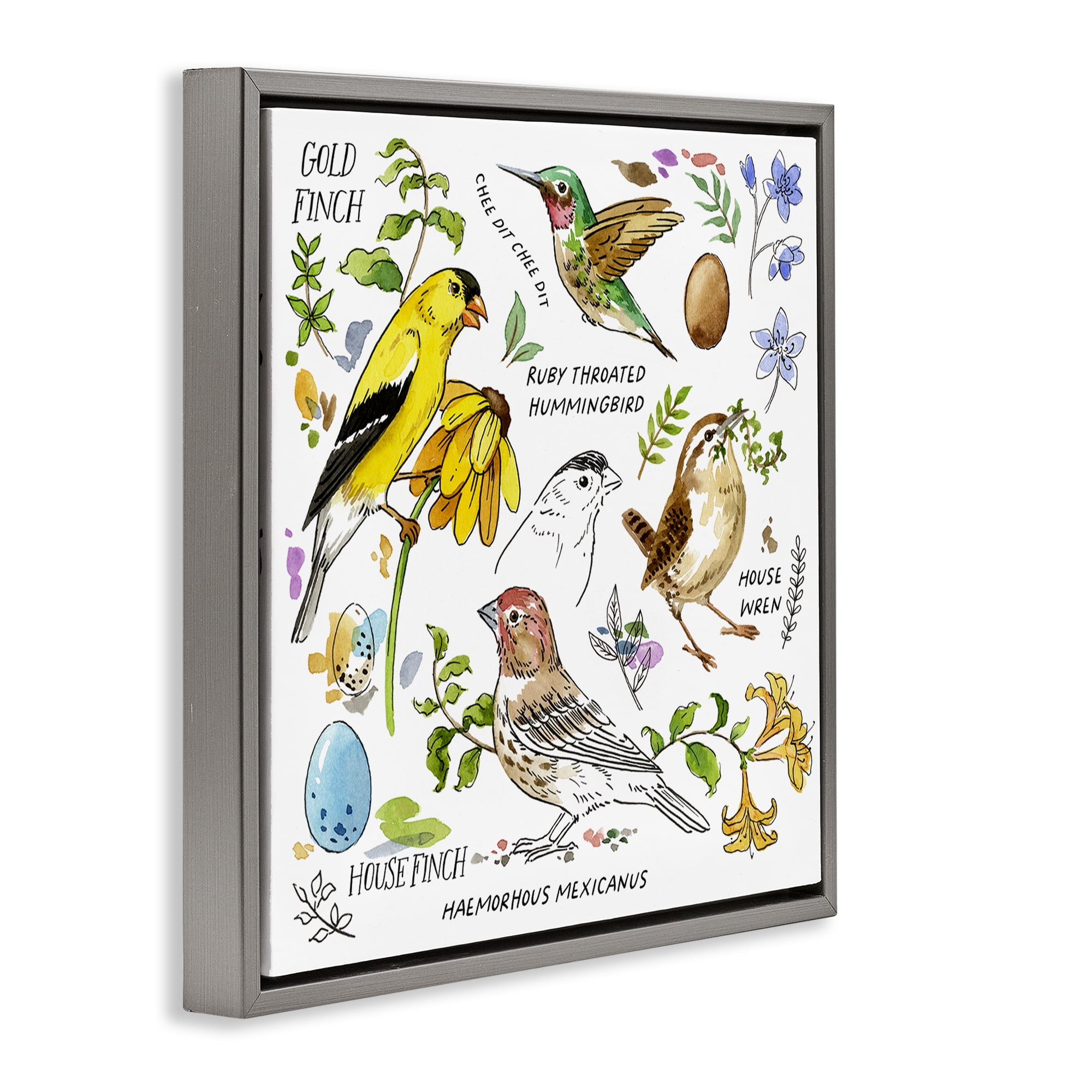 Stupell Industries Local Birds Chart Animals Painting Gray Floater Framed Canvas Art Print Wall Art, 18 x 18