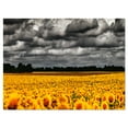 thumbnail image 2 of Van Gogh Summer with Clouds - Landscape Artwork Canvas, 2 of 3
