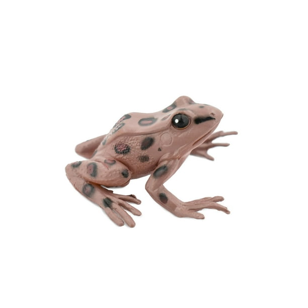 Frog, Southern Leopard Frog, Rubber Toy Amphibian, Realistic Figure ...