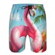 thumbnail image 3 of Balery Tropical Flamingo Pool Float Traje de Baño Estilo Hawaiano para Hombre, Shorts de Secado Rápido con Bolsillos-3X-Large, 3 of 6