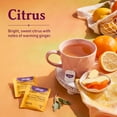 yogi-tea-sweet-ginger-citrus-turmeric-vitality-herbal-tea-bags-16