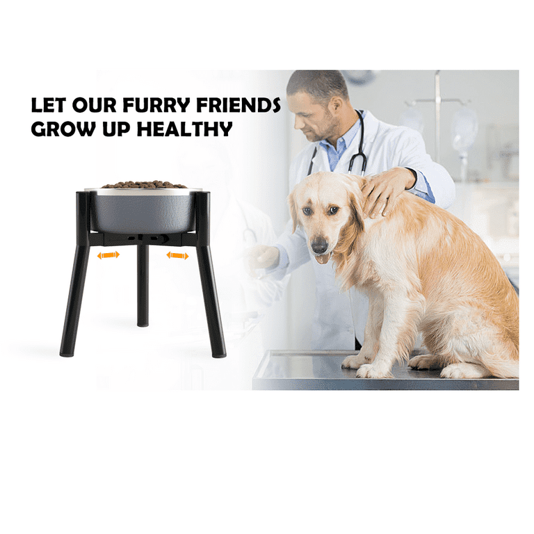 Raised Dog Bowl Stand for Large Dogs 11