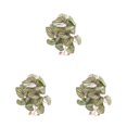 thumbnail image 4 of Injueey Hermosas plantas de terrario - Naturaleza en interiores Sin necesidad de riego Plantas Decoraciones artificiales Sandía de otoño Type1 NO1, 4 of 6