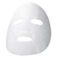 thumbnail image 2 of TCFS HYD MASK - FRENCH, 2 of 2