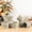 Desert Sage, variant on Theterra Ceramic Coffee Mugs Set of 6, 14.2oz Handmade Coffee Cups with Handle for Latte, Tea, Milk, Beer, Hot Cocoa, Beige