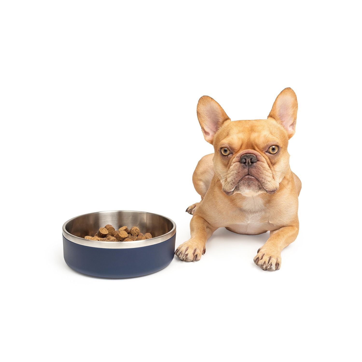 One Paw, Small Double Stainless Steel Dog Bowl, 1.3L (44 OZ), Small Double Stainless Steel Bowl