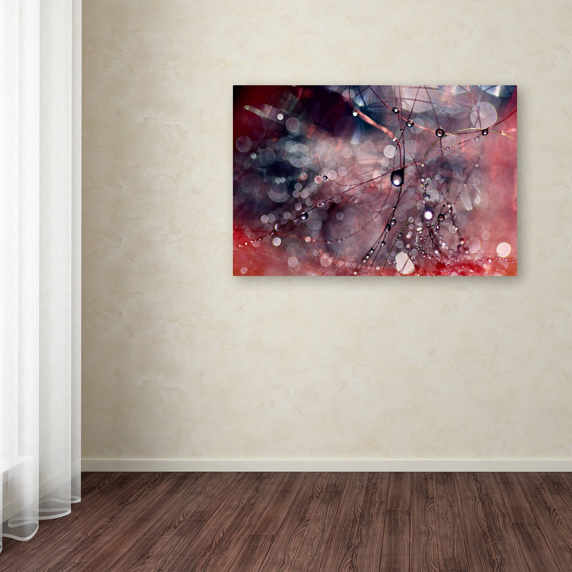 Trademark Fine Art "Outside the Box" Canvas Art by Beata Czyzowska Young