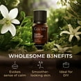 thumbnail image 3 of Gya Labs Vanilla Essential Oil for Diffuser - Vanilla Oleoresin Essential Oil for Skin, Long Lasting Vanilla Oil Perfume (0.34 fl oz), 3 of 8