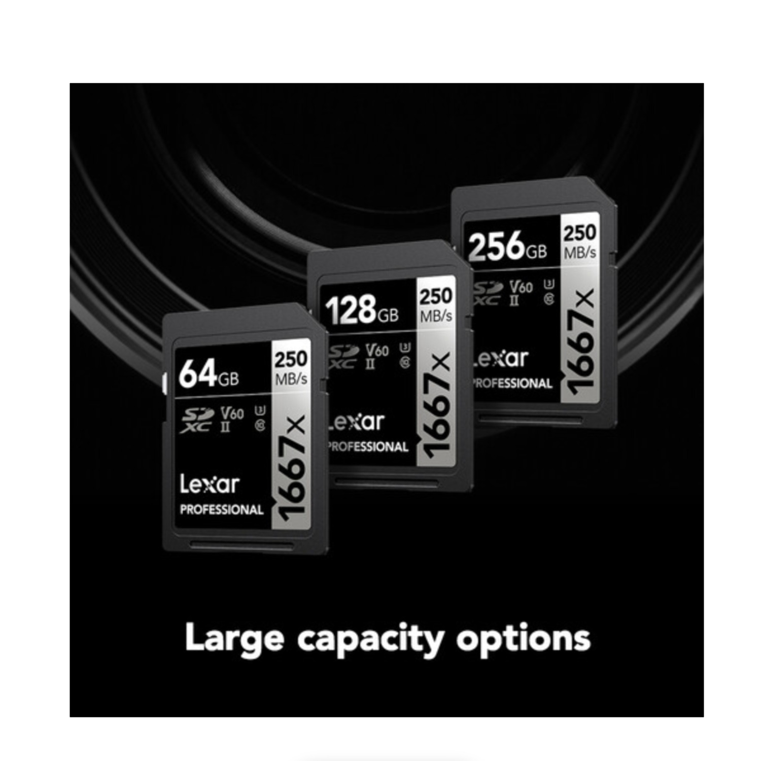 Lexar Professional 1667x UHS-II SDXC Memory Card - 256GB (2-Pack)