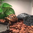 thumbnail image 4 of Turtle Basking Platform for Aquarium, Resting Terrace for Tortoise and Climbing Platform, Resin Realistic Stone Ornament for Fish Tank, Turtle Dock for Small Aquarium and Terrarium (C), 4 of 5