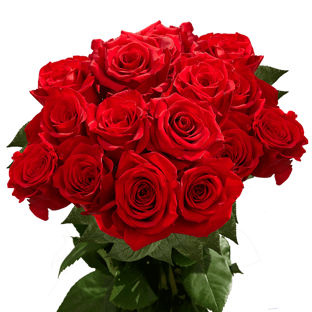  Write a Rose Beautiful Red Roses Bouquet with Happy Birthday  In Gold Font, Fresh Cut Flowers, 3 Red Roses Bouquet