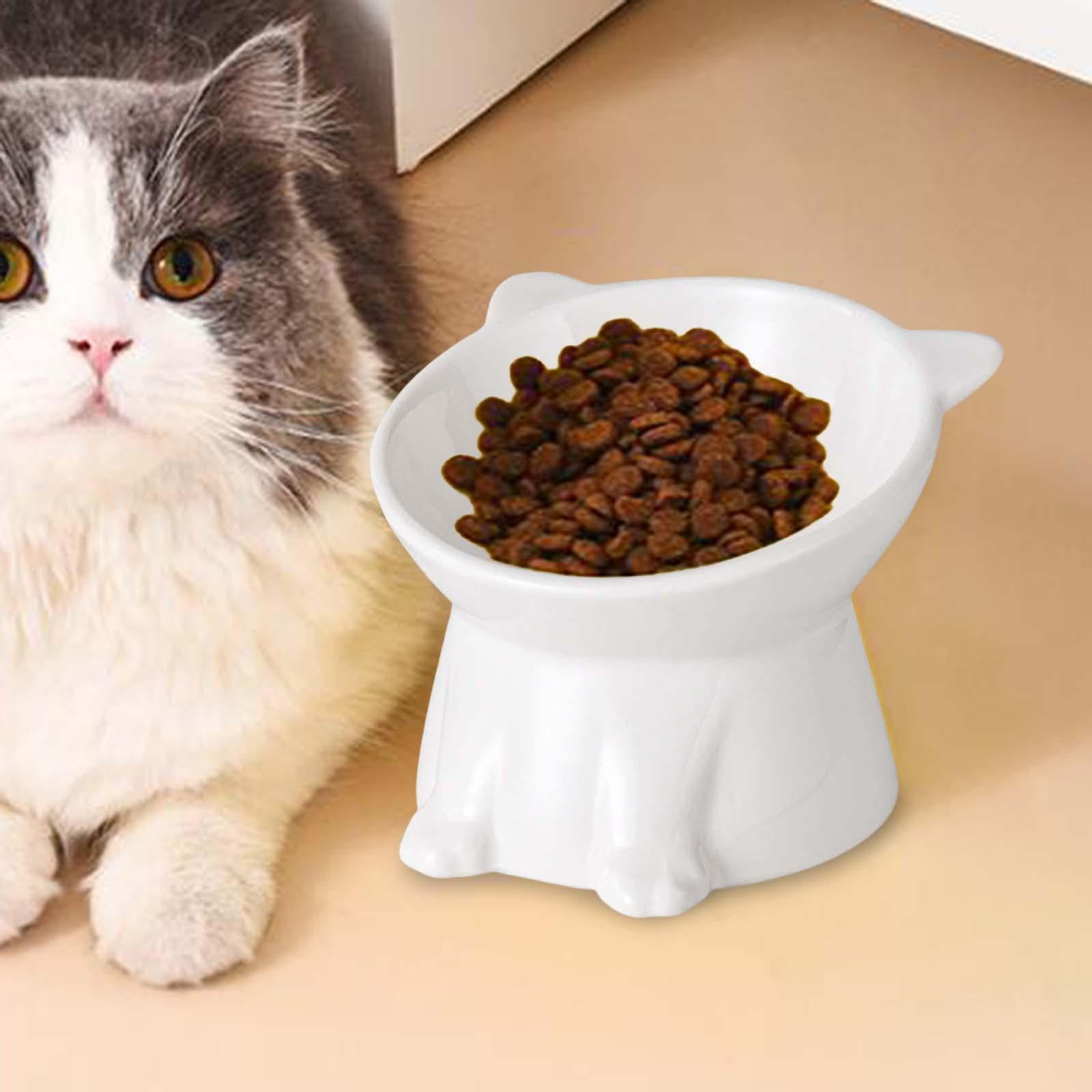 Raised Cat Bowl Pet Food Bowl Durable Food Container Cat Dishes Elevated Cat Food Bowl Tilted Elevated Cat Bowl for Small Dogs Supplies white