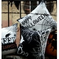 thumbnail image 3 of Halloween Holiday Collection Decorative Throw Pillow, 18" x 18", Crow Boo , 1 Pack, 3 of 4