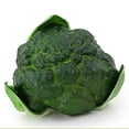 thumbnail image 2 of Artificial Vegetables Lifelike Realistic Cauliflower Artificial Food Home Decor Vegetables, 2 of 2