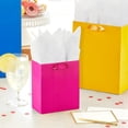 thumbnail image 2 of Assorted Gift Bags (8 Bags: 3 Small 6", 3 Medium 9", 2 Large 13") Solid Pink, Blue, Green, Yellow, Red, 2 of 4