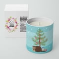 thumbnail image 2 of Carolines Treasures BB9240CDL 3.75 x 3.25 in. Unisex Eurasian Beaver Christmas 10 oz Decorative Soy Candle, Teal, 2 of 5