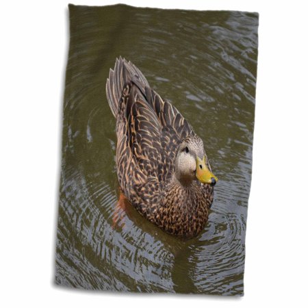 3dRose Female Mallard Hen Duck Drinking Water - Towel, 15 by 22-inch