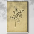 thumbnail image 2 of Holly Branch I - Framed Gallery Wrapped Holiday Canvas - 17 x 25 - White Frame, 2 of 8