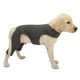 thumbnail image 5 of Camisa protectora ligera para perros - Diseño antilamida, poliéster transpirable - para la recuperación tras una lesión, uso en interiores/exteriores - Disponible en varias tallas, 5 of 6