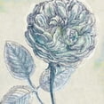 thumbnail image 3 of Schlabach, Sue 15x15 Black Modern Framed Museum Art Print Titled - Belle Fleur III, 3 of 5