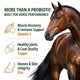 thumbnail image 5 of Pasta probiótica para caballos OL NELLY 12 mil millones de UFC, jeringa de 80 cc, 5 of 9