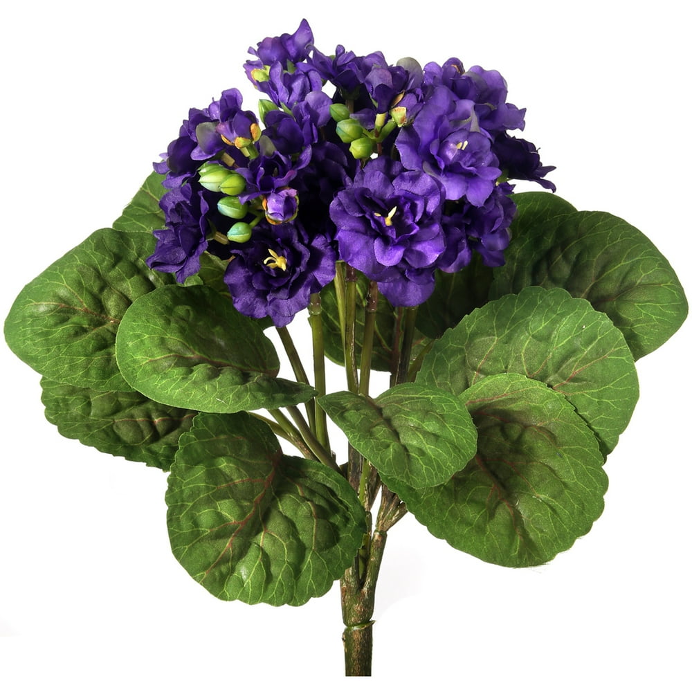 Violet Plant 12" - Violet - Walmart.com - Walmart.com