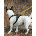 thumbnail image 3 of LAICAIW Double-Sided Reflective Dog Leash, 6 FT/5 FT/4 FT, Padded Handle Nylon Dogs Leashes for Small & Medium Dogs Walking, Brown, 6FT, 3 of 7