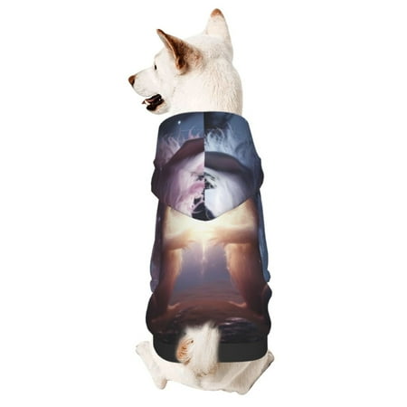 Haiem Fox Couple for Winter Dog Hoodie Sweatshirts with Pockets Warm Dog Clothes for Small Dogs Chihuahua-Small