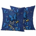 thumbnail image 2 of Pack of 2 Outdoor Pillow Covers 24x24 Inch Waterproof Blue Butterfly Throw Pillow Covers,Decorative Couch Pillow Shams Protectors Farmhouse Modern Nature Animals Art Patio Pillowcases Cushion Covers, 2 of 8