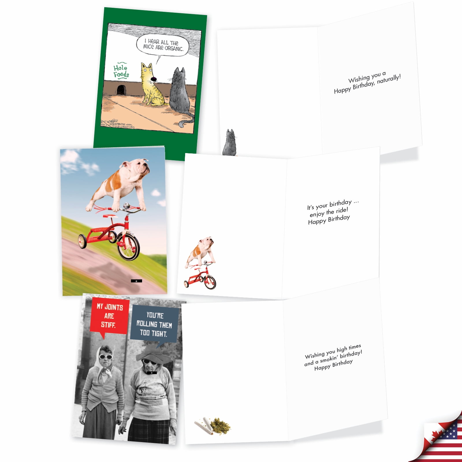 NobleWorks 20 Assorted Box Set Funny Birthday Greeting Cards w/5 x 7 Inch Envelopes (10 Designs, 2 Each) Bday Another Year Older AC8839BDG-B2x10