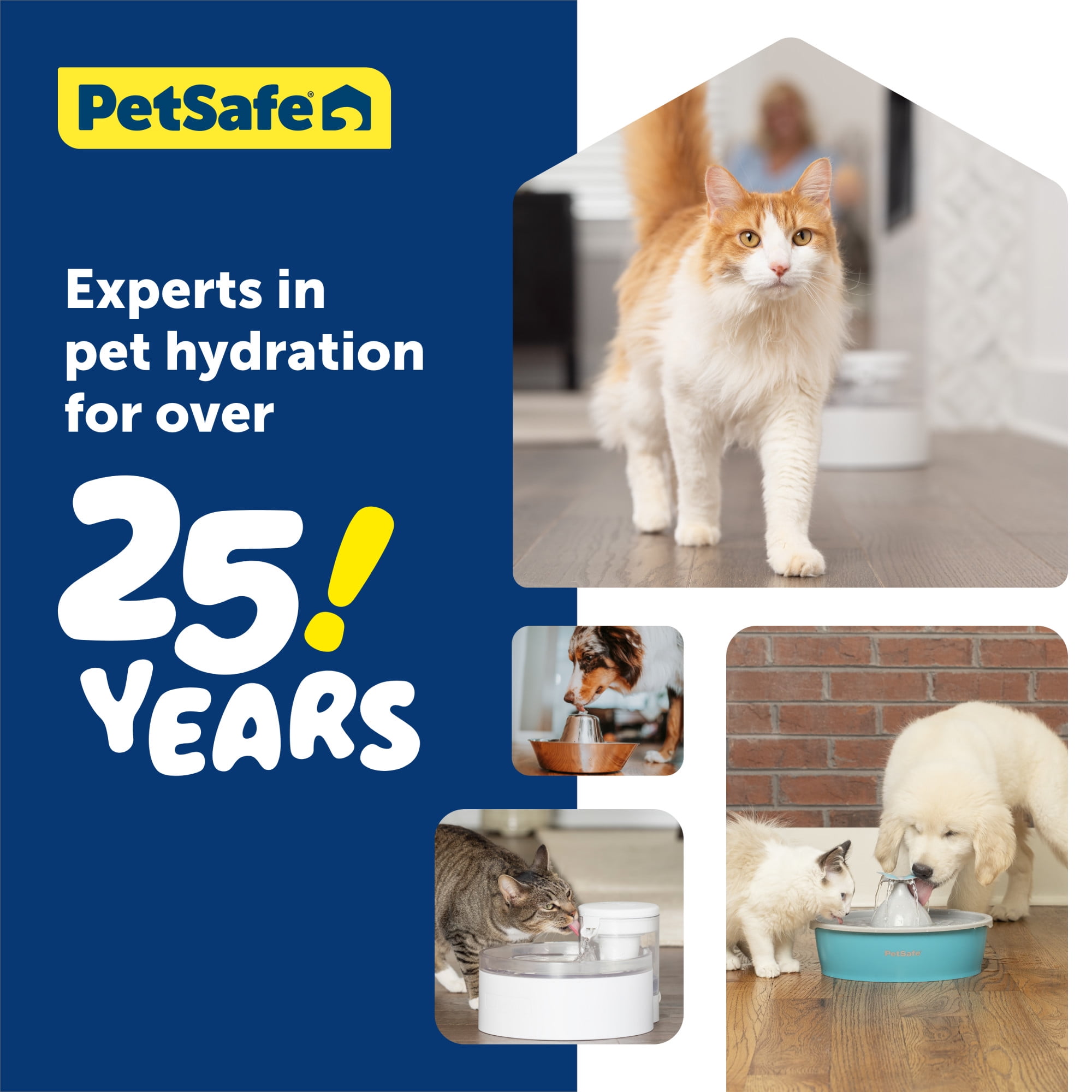 PetSafe Outlast Pumpless Cat Water Fountain 60 oz, Dishwasher Safe, Easy Assembly