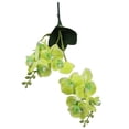 thumbnail image 5 of KDJ 12 Heads 50CM Artificial Butterfly Orchid Fake Moth Orchids Flowers Home Decor - for Home Decor, 5 of 10