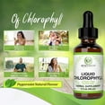 thumbnail image 4 of 5X Benevolent Chlorophyll Liquid DropsOrganic Detox &Immune Support, 2 OzDrops, 4 of 5