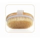 thumbnail image 2 of Exfoliating Body Brush for Dry Skin Care, Lymphatic Massage, and Cellulite Reduction, 2 of 3