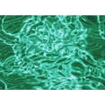 thumbnail image 1 of Ahgly Company Machine Washable Indoor Rectangle Transitional Medium Spring Green Area Rugs, 6' x 9', 1 of 7