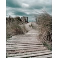 thumbnail image 2 of Copeland, Gill 15x18 White Modern Wood Framed Museum Art Print Titled - Listen to your Dreams, 2 of 4