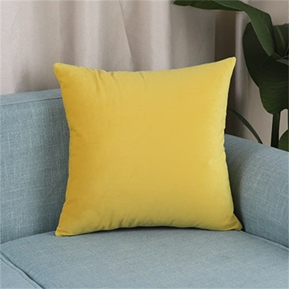 Nmkwnr Soft Velvet Throw Pillow Cover Decorative Square Pillow Case for Sofa Couch Bed Chair, 16" x 16"