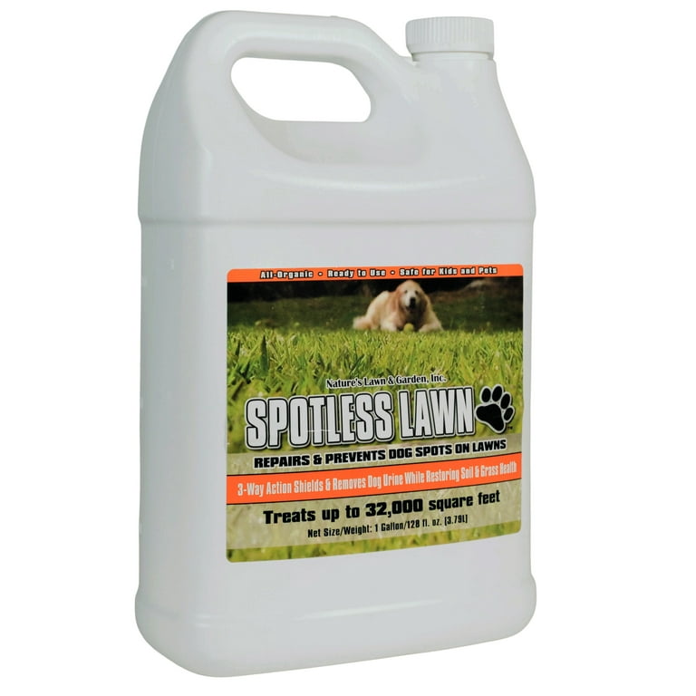 Is Road Salt Safe For Dogs