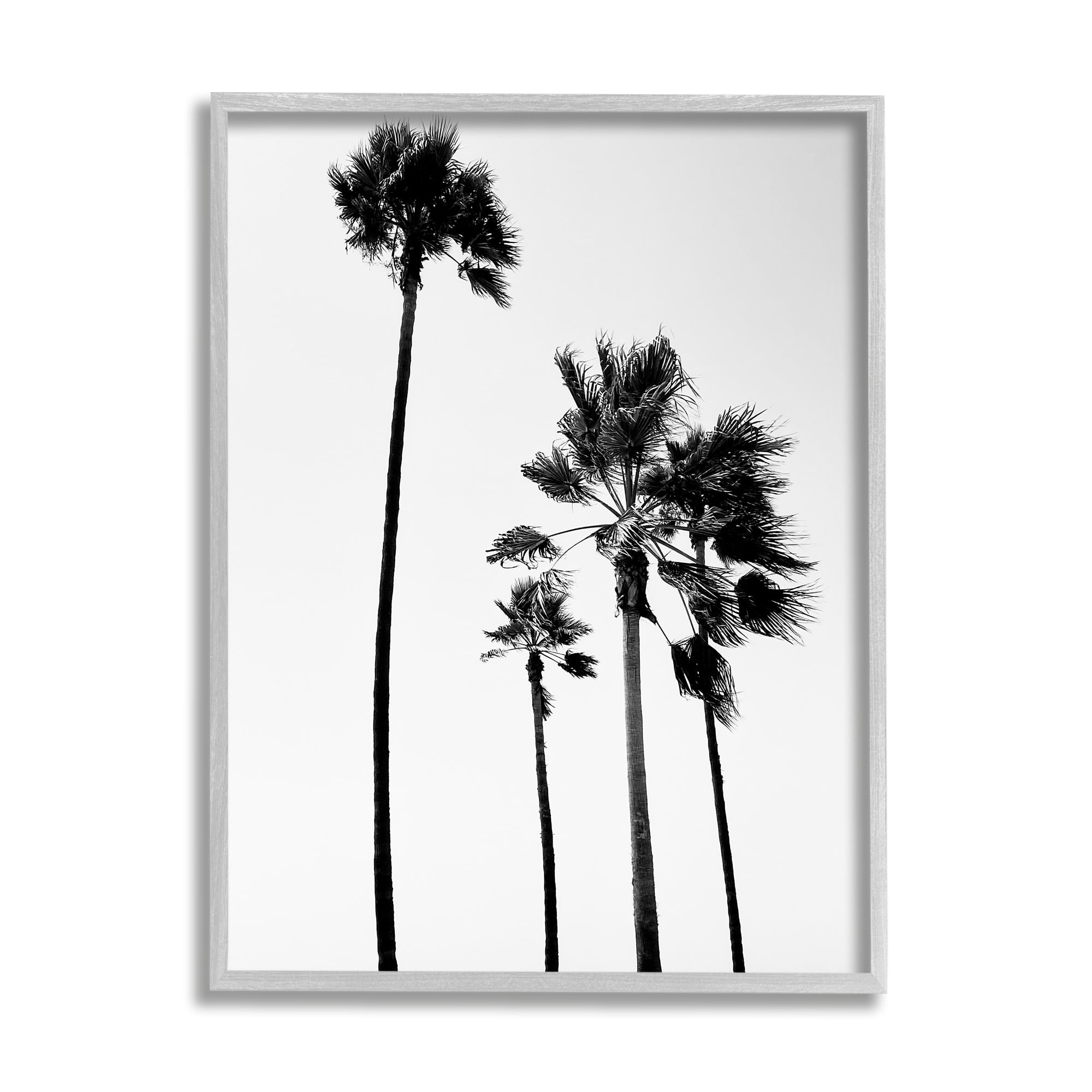 Stupell Industries Looming Palm Trees Clear Summer Sky Photography Photograph Gray Framed Art Print Wall Art, Design by Amelia Myers