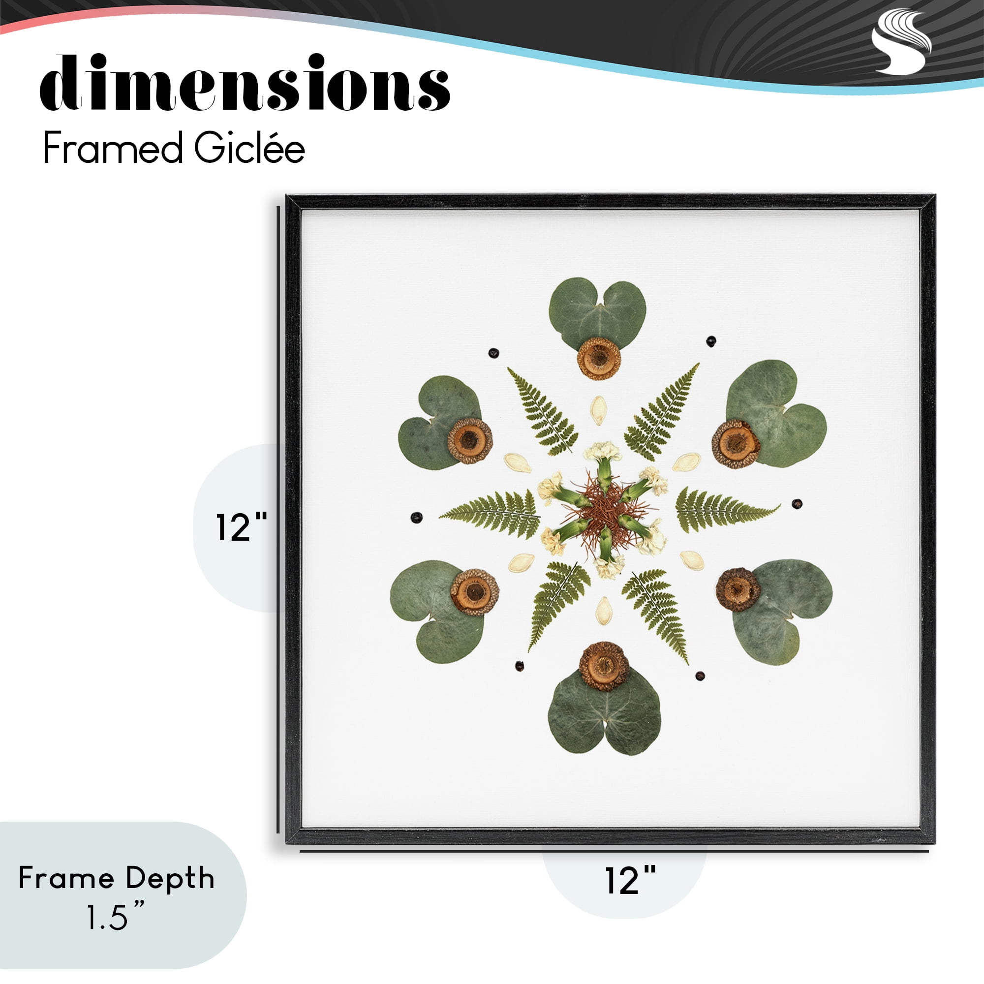 Stupell Industries Lily Pad & Fern Mandala Black Framed Giclee Art, design by Beth Adoette