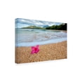thumbnail image 2 of Dennis Frates 'Beach Treasures 4' Canvas Art, 2 of 3