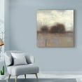 thumbnail image 3 of Trademark Fine Art 'Haze I' Canvas Art by Norman Wyatt, 3 of 4
