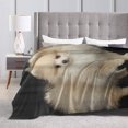 UltraSoft Micro Fleece Blanket,Cute Pomeranian Dog,Custom Home Decor