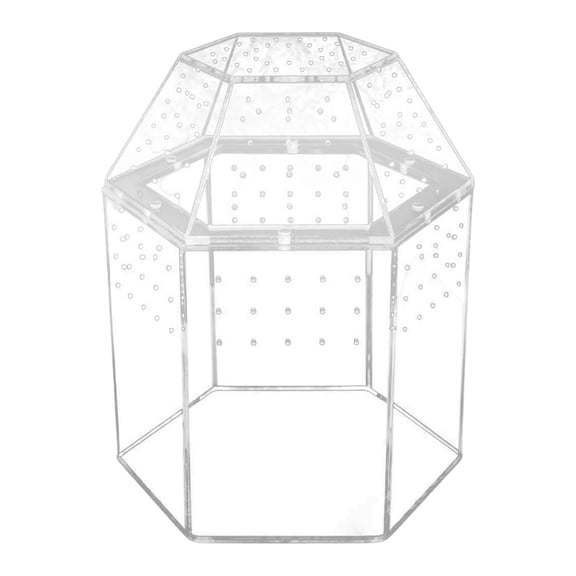 Small Reptile Terrarium Spider Box Vertical Tarantula Enclosure Acrylic Material for Classroom Display and Home Decor