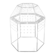 Small Reptile Terrarium Spider Box Vertical Tarantula Enclosure Acrylic Material for Classroom Display and Home Decor
