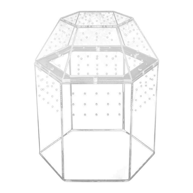 Terrario para arañas saltarinas, terrario para reptiles con ventilación, jaula para tarántulas, caja de acrílica para , tienda de cría