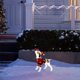 thumbnail image 4 of Decoraciones de Navidad Al Aire Libre Luzes de Navidad Animales de Navidad Iluminados, Decoraciones Del Patio Al Aire Libre con Luces de Barra Brillantes, Luzes Led Decorativas de Navidad Artificialme, 4 of 6