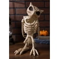 thumbnail image 6 of Crazy Bonez - Owl Skeleton Decoration - Owl Skeleton, 6 of 6