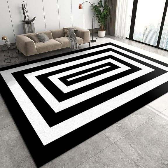 Black and White Geometric Lines Area Rugs, Circular Curved Stripes Minimalist Living Room Carpet, Indoor Area Rug Machine Washable Durable Enough Apply to Family and Pet Hotels 2x3ft